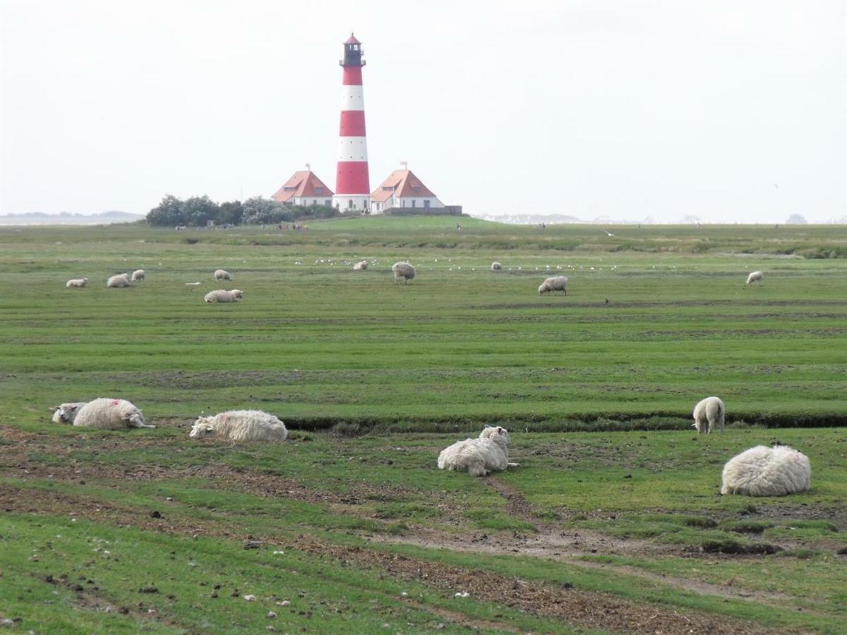 Appartement Deichgans - Haus Loreley Sankt Peter-Ording Exteriör bild